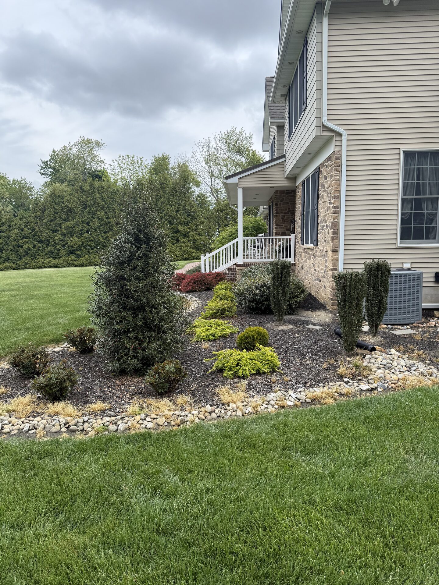 Soft Washing & Roof Cleaning